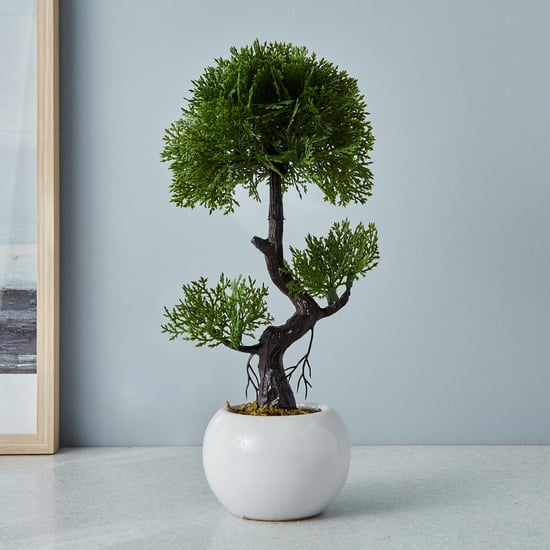 Gloria Artificial Shade Bonsai in Ceramic Pot