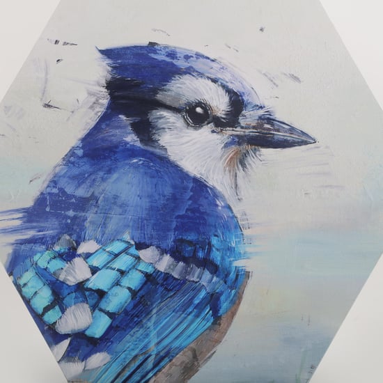 Brezza Set of 3 Canvas Bird Picture Frames