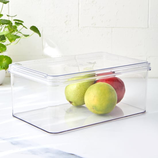 Orion Elfin Fridge Storage Box with Lid