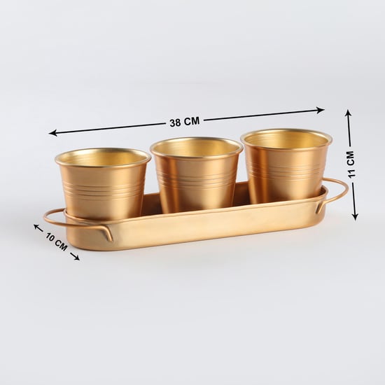 Gloria Set of 3 Metal Planters with Tray