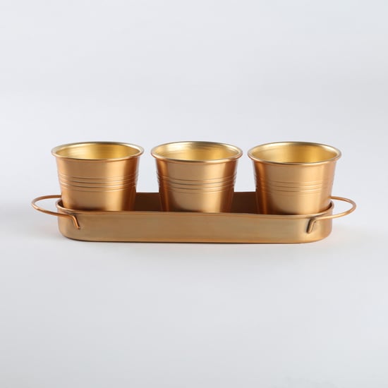 Gloria Set of 3 Metal Planters with Tray