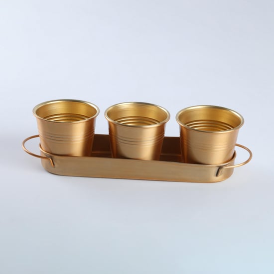 Gloria Set of 3 Metal Planters with Tray