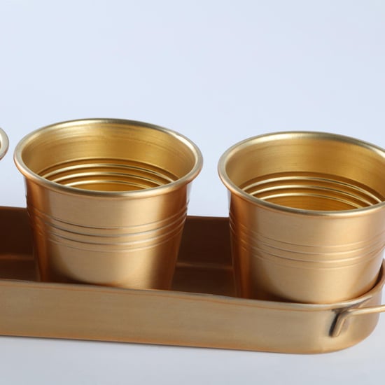 Gloria Set of 3 Metal Planters with Tray