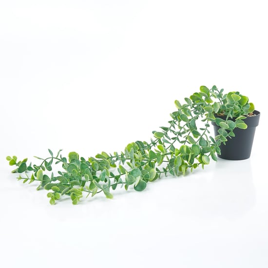 Gloria Artificial Creepers in Pot