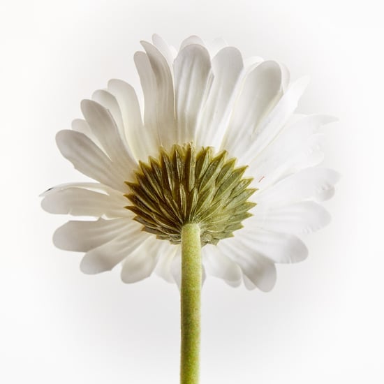 Botanical Artificial Gerbera Daisy Flower Stick - 61 cm