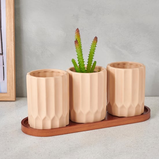 Gloria Set of 3 Ceramic Planters with Tray