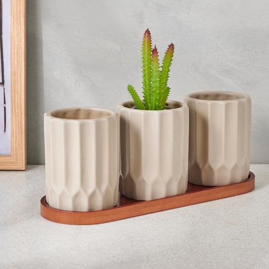 Gloria Set of 3 Ceramic Planters with Tray