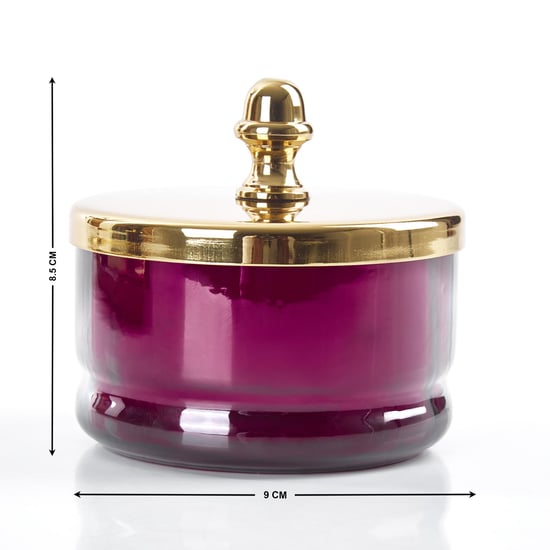 Maya Neale Set of 2 Glass Canisters with Tray