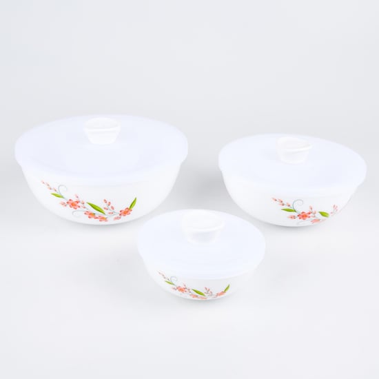 Velox Creeper Set of 3 Opalware Printed Mixing Bowls with Lids