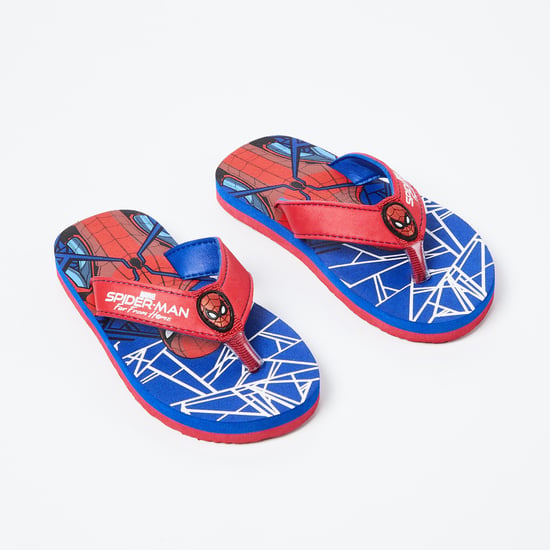 BIOWORLD Spiderman Print V-Strap Flip-Flops
