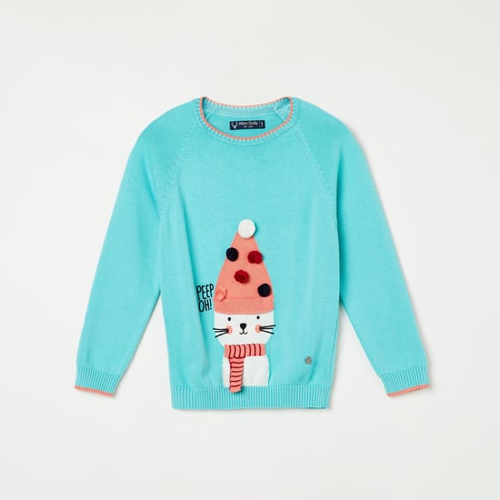ALLEN SOLLY Girls Patterned Knit Sweater with Applique