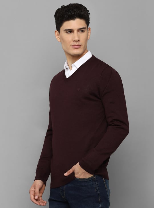 ALLEN SOLLY Men Solid V Neck Sweater