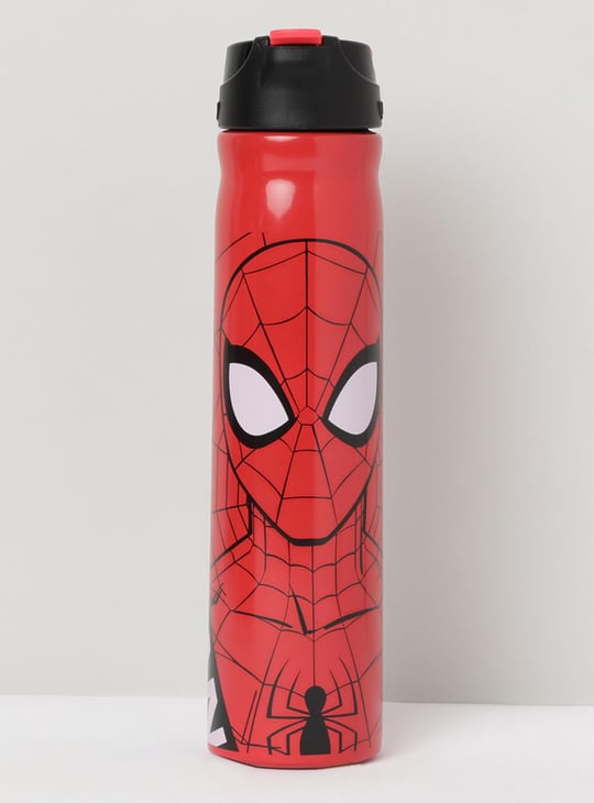 MAX Spiderman Print Sipper Bottle