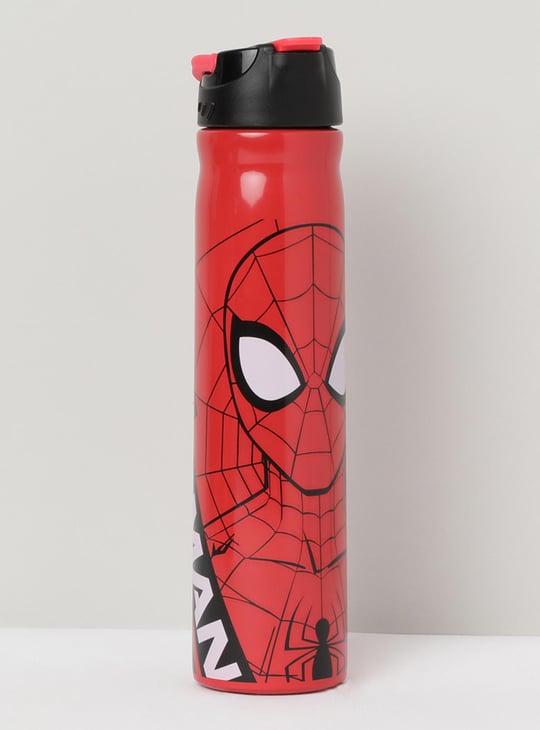 MAX Spiderman Print Sipper Bottle