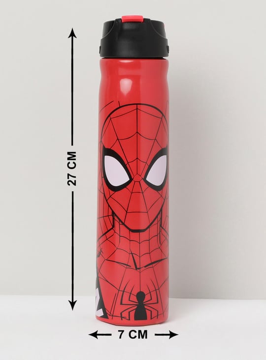 MAX Spiderman Print Sipper Bottle