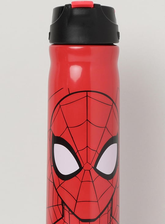 MAX Spiderman Print Sipper Bottle
