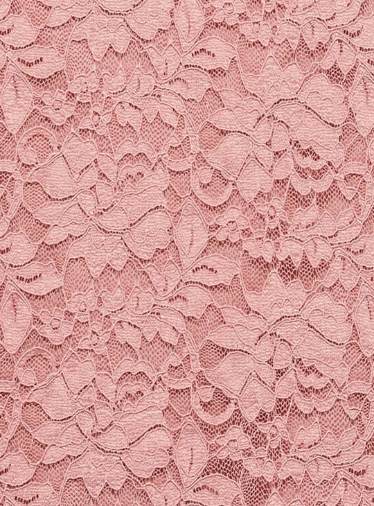 Women Lace Top with Scalloped Trim
