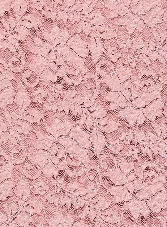 Women Lace Top with Scalloped Trim