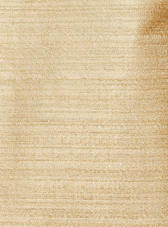 Men Textured Regular Fit Ethnic Waist Coat