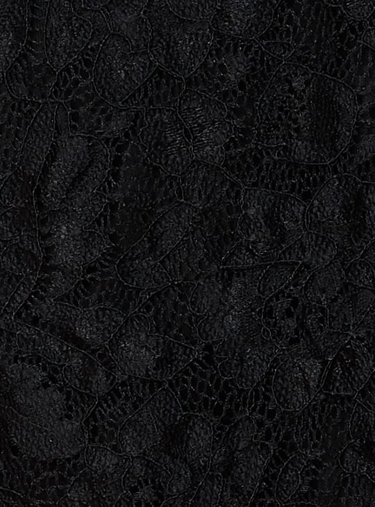 Women Lace Fit and Flare Dress