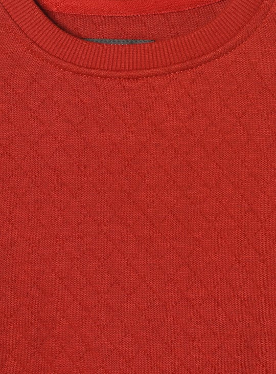 Boys Textured Sweatshirt