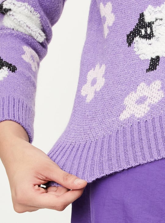 Women Quirky Knitted Sweater