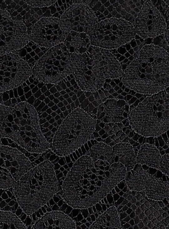 Women Lace Fit and Flare Dress