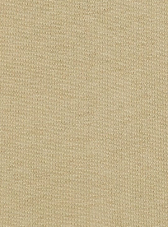 Women Graphic Printed T-shirt