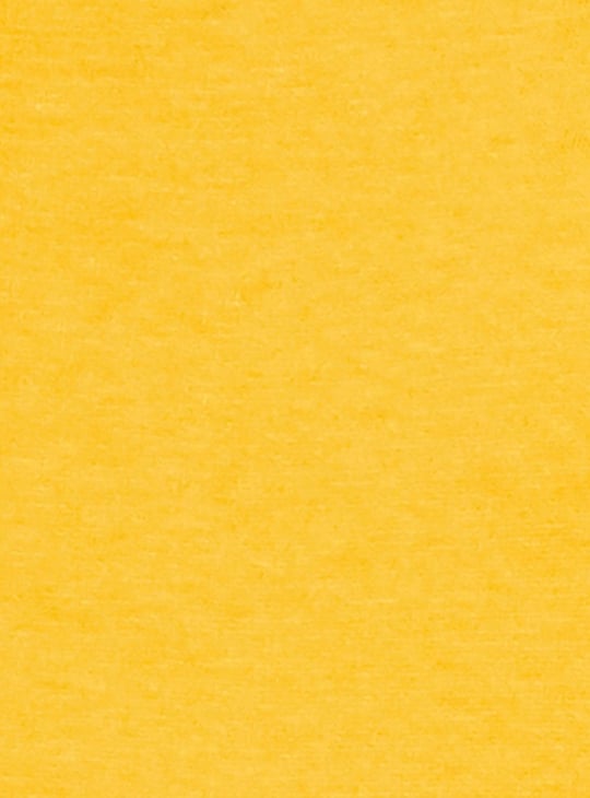 Women Lace Detail Blouson Top