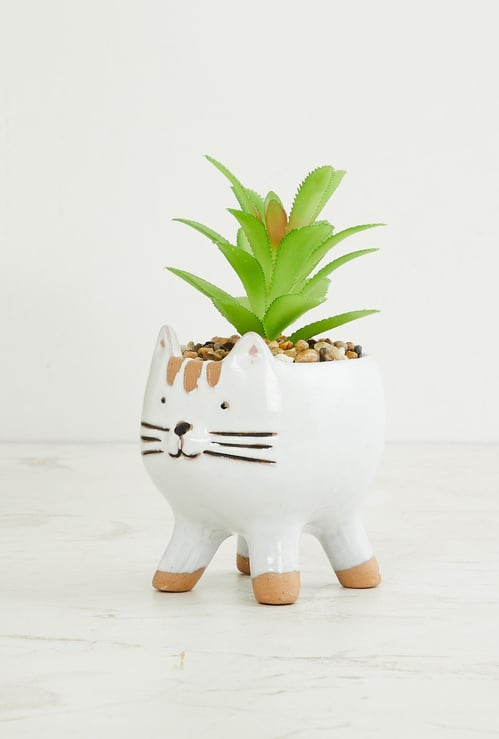 Garnet Elsa Cat with Succulent Plant