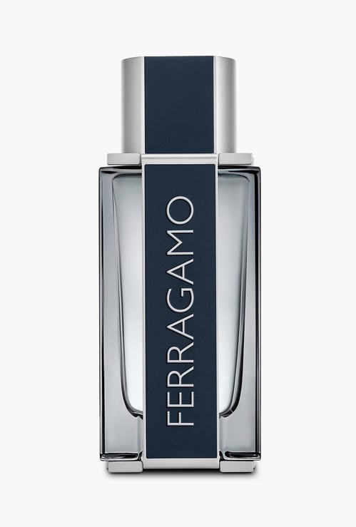 FERRAGAMO Men EDT Perfume - 100 ml