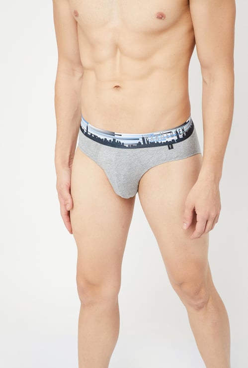 VAN HEUSEN Solid Knitted Briefs