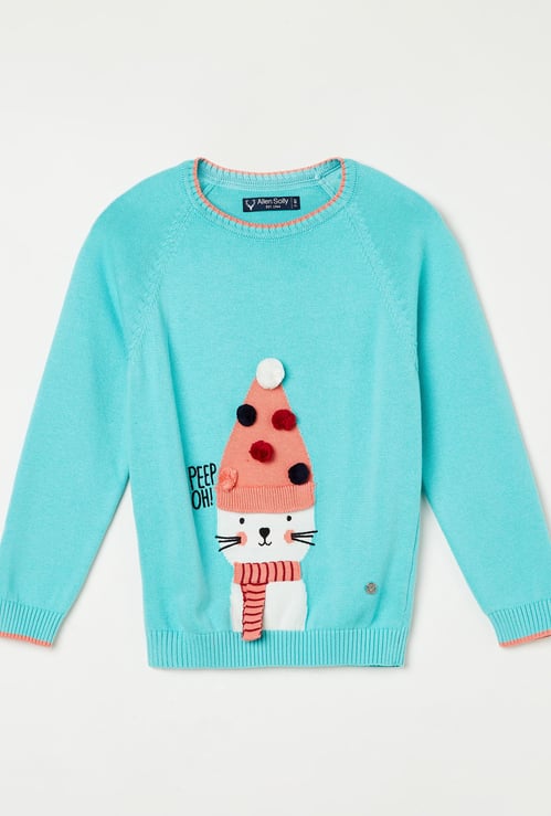 ALLEN SOLLY Girls Patterned Knit Sweater with Applique