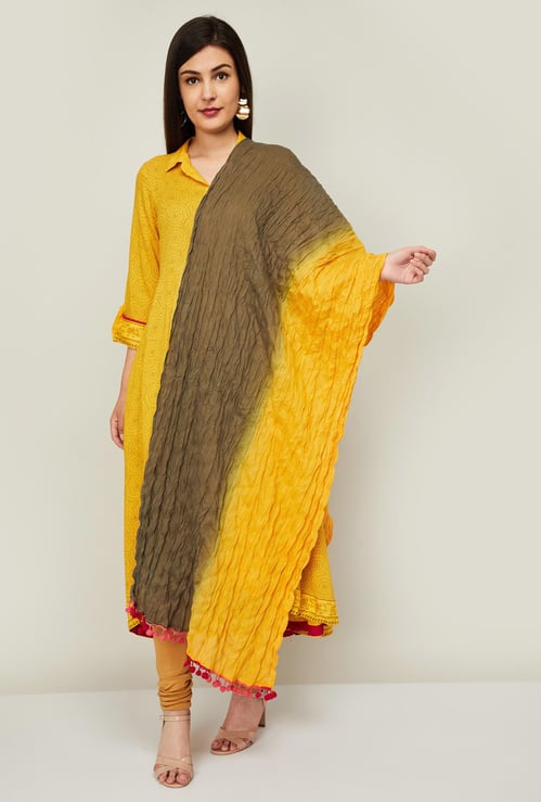RANGRITI Women Ombre Pattern Dupatta