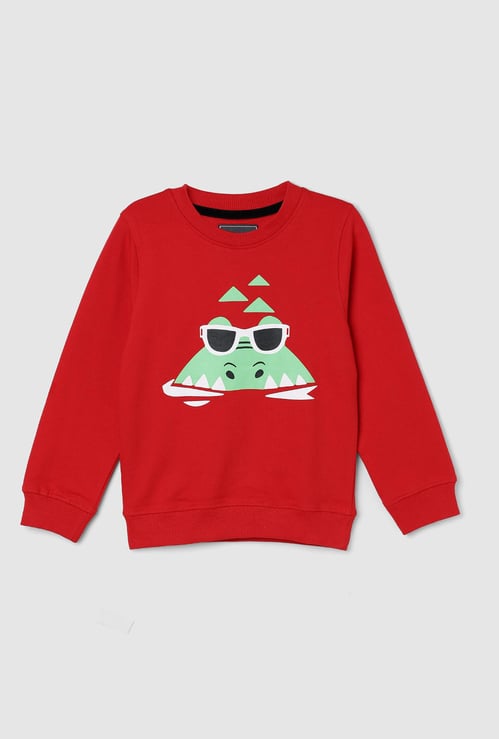 Boys Graphic Printed Sweatshirt