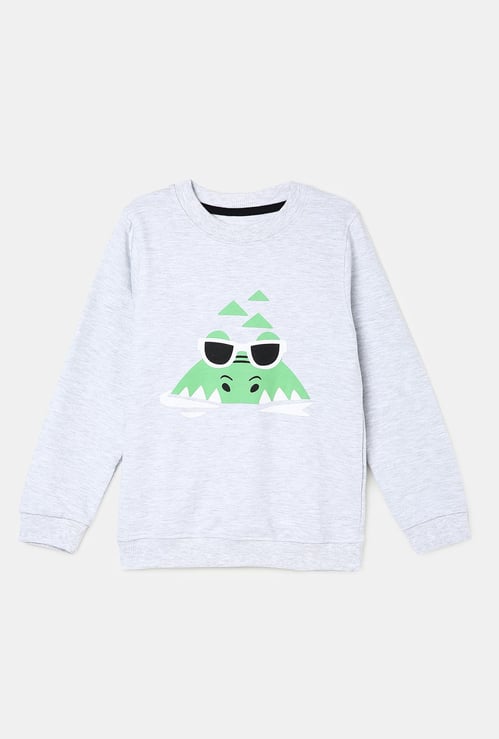 Boys Graphic Printed Sweatshirt