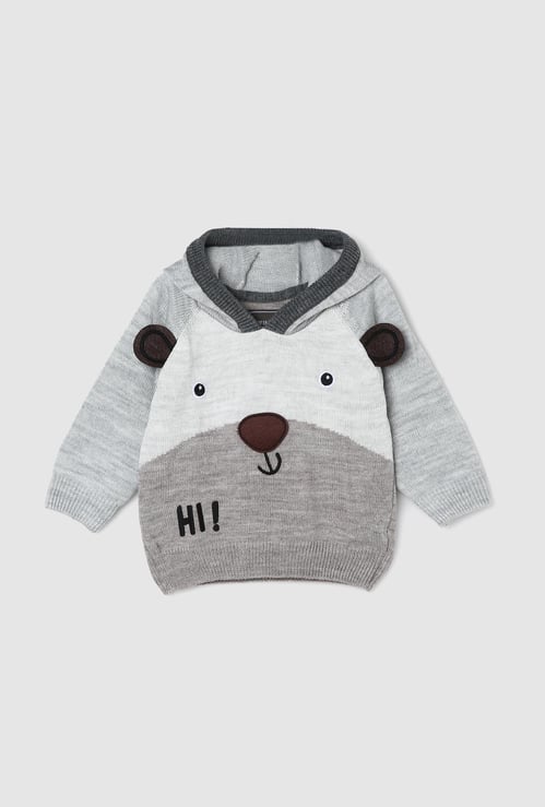 Boys Embroidered Hooded Sweater