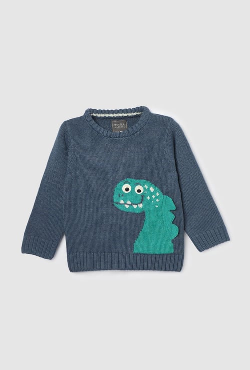 Boys Applique Detailed Sweater