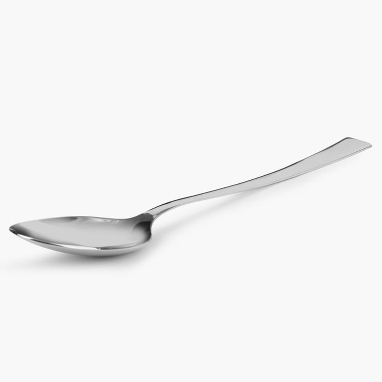 FNS Slimline Serving Spoon