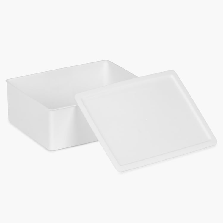 Regan Inner Wear Storage Box