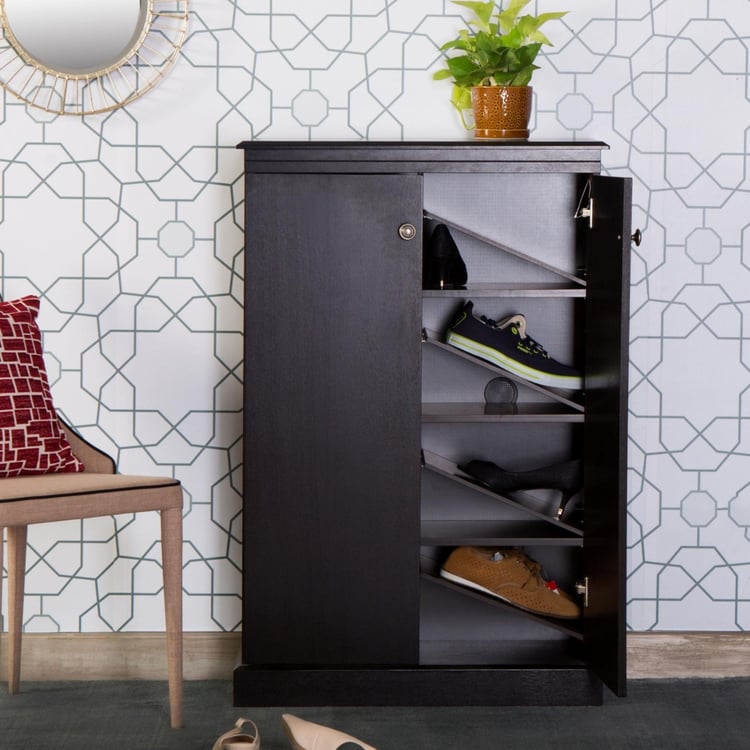 Montoya 2-Door Shoe Cabinet
