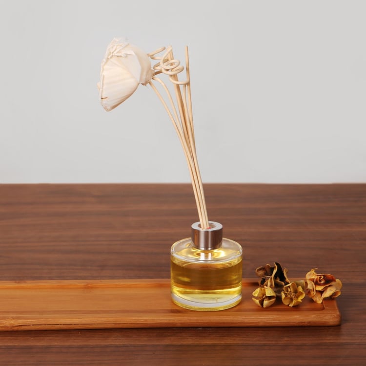 Splendid Redolance Reed Diffuser Set - 100 ml