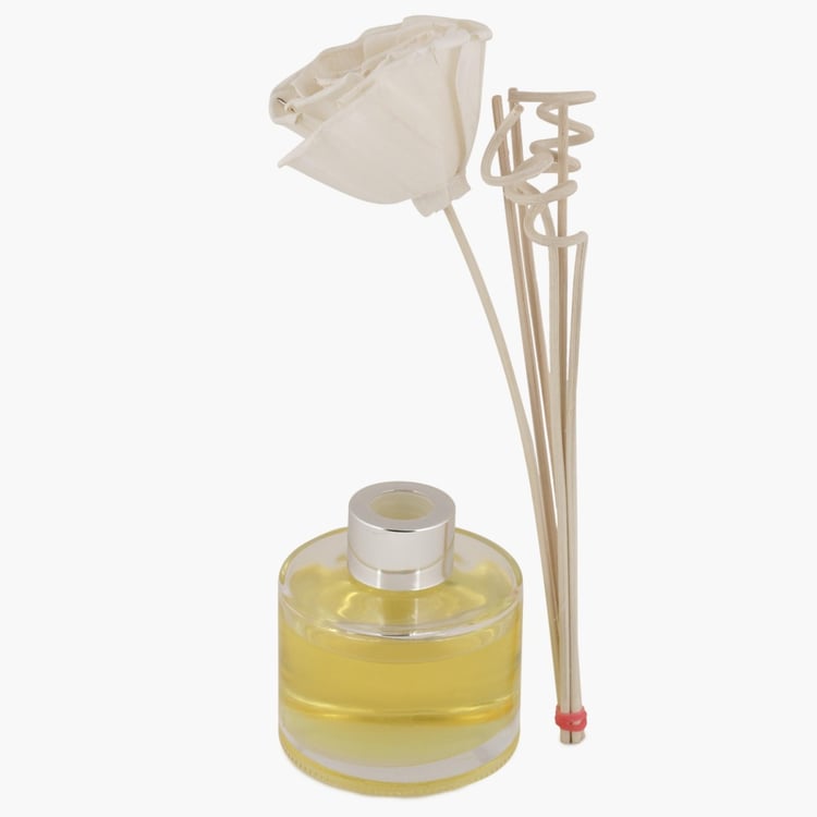 Splendid Redolance Reed Diffuser Set - 100 ml