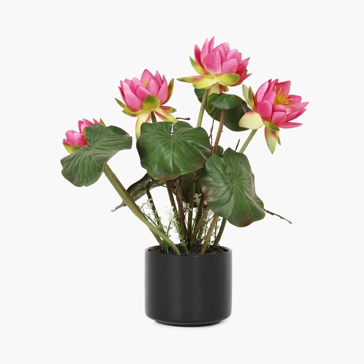 Sachi Potted Lotus in Ceramic Pot