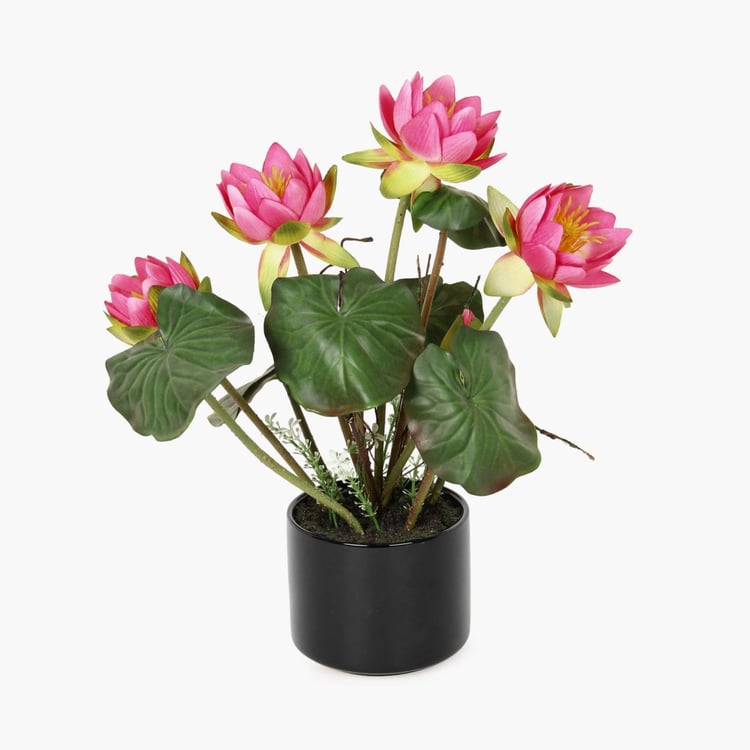 Sachi Potted Lotus in Ceramic Pot