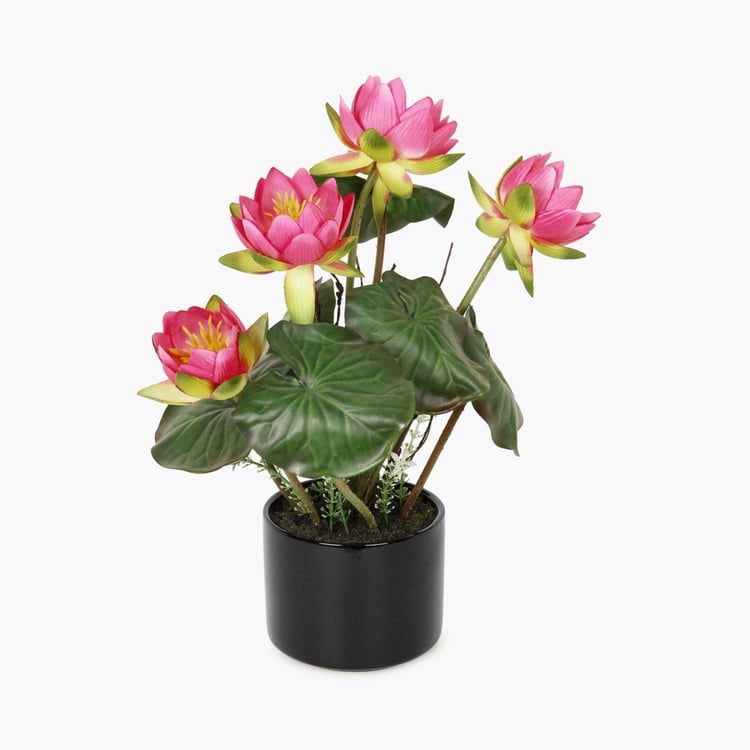 Sachi Potted Lotus in Ceramic Pot