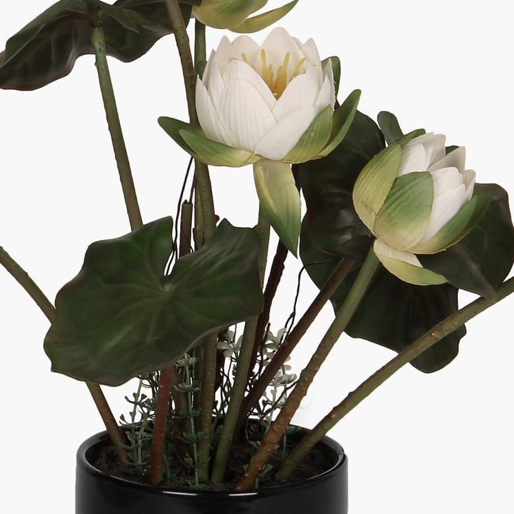 Sachi Potted Lotus in Ceramic Pot