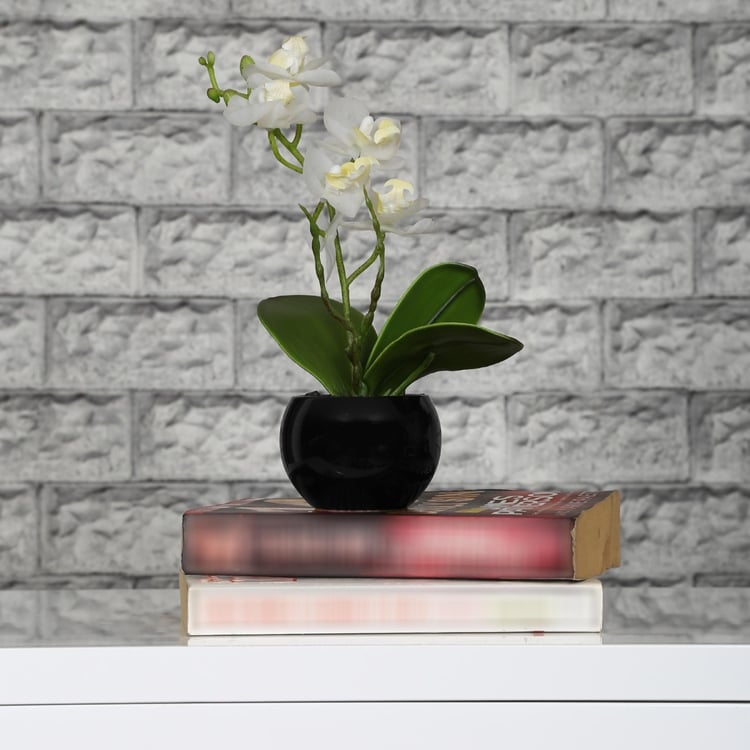 Sachi Potted Orchid in Ceramic Pot