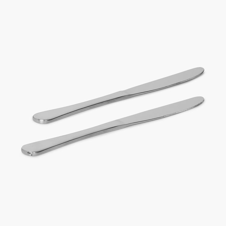 Glister Set of 2 Stainless Steel Dinner Knives