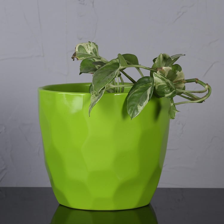 Madison Mackenzie Table Planter